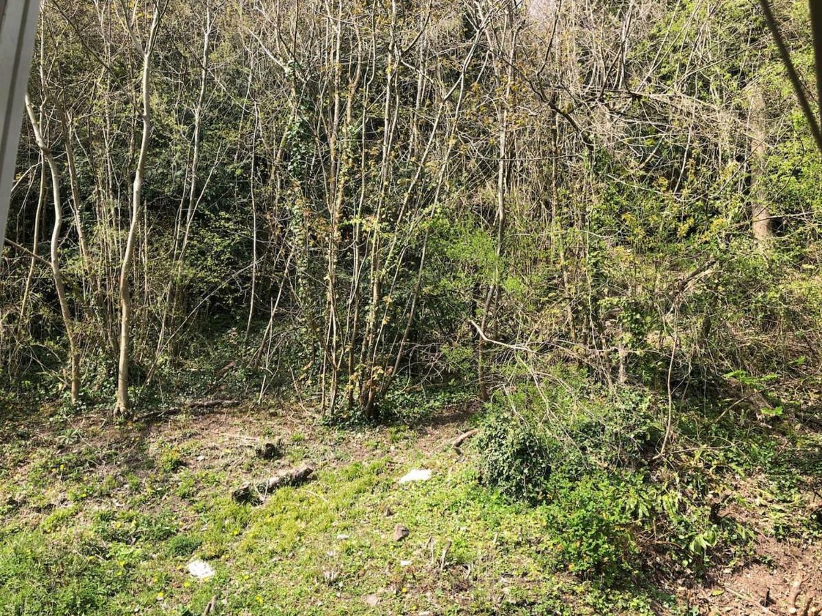 Symonds Yat - Herefordshire Property With Stunning Views Bagian luar foto